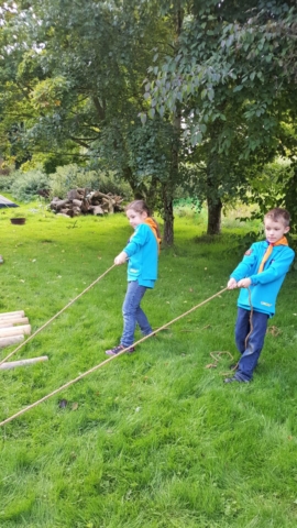 Beavers Try Pioneering