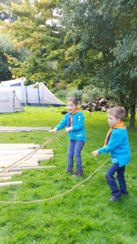 Beavers Enjoying Annual Camp