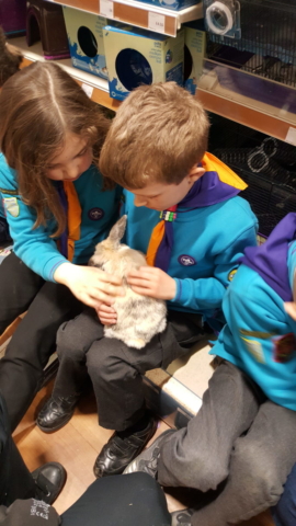 My Pet Pals activity club workshop