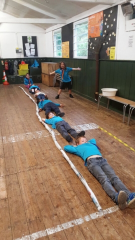 Beavers Measure Newspaper Pipe