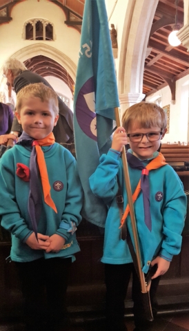 Beaver Scouts Flag
